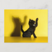 Kutest Baby Animals | Zwart kattenspel Briefkaart (Voorkant)
