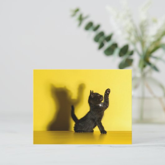 Kutest Baby Animals | Zwart kattenspel Briefkaart (Staand voorkant)