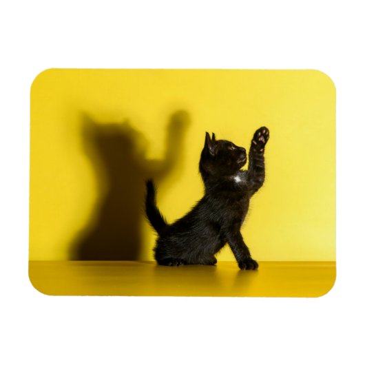 Kutest Baby Animals | Zwart kattenspel Magneet (Horizontaal)