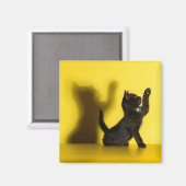 Kutest Baby Animals | Zwart kattenspel Magneet (Voorkant / Achterkant)