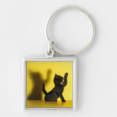 Kutest Baby Animals | Zwart kattenspel Sleutelhanger (Voorkant)