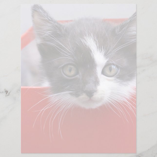 Kutest Baby Animals | Zwart-witten (Voorkant)
