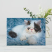 Kutest Baby Animals | Zwart-witten Bedankkaart (Staand voorkant)