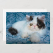 Kutest Baby Animals | Zwart-witten Bedankkaart (Voorkant / Achterkant)