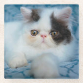 Kutest Baby Animals | Zwart-witten Glazen Onderzetter (Voorkant)