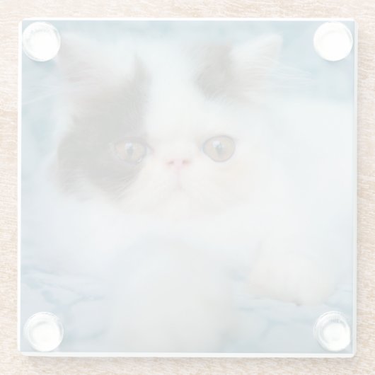 Kutest Baby Animals | Zwart-witten Glazen Onderzetter (Achterkant)