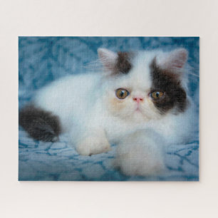 Kutest Baby Animals Zwart-witten Legpuzzel