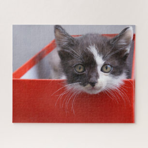 Kutest Baby Animals Zwart-witten Legpuzzel