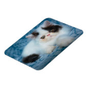 Kutest Baby Animals | Zwart-witten Magneet (Linkerzijde)