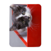 Kutest Baby Animals | Zwart-witten Magneet (Verticaal)
