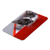 Kutest Baby Animals | Zwart-witten Magneet (Linkerzijde)