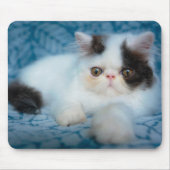 Kutest Baby Animals | Zwart-witten Muismat (Voorkant)