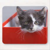 Kutest Baby Animals | Zwart-witten Muismat (Voorkant)