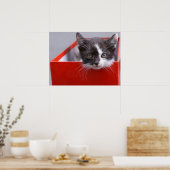 Kutest Baby Animals | Zwart-witten Poster (Keuken)