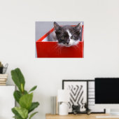 Kutest Baby Animals | Zwart-witten Poster (Thuiskantoor)