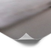 Kutest Baby Animals | Zwart-witten Poster (Hoek)