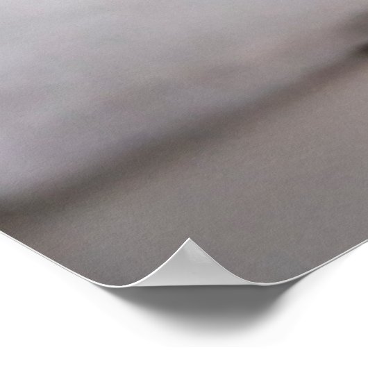 Kutest Baby Animals | Zwart-witten Poster (Hoek)