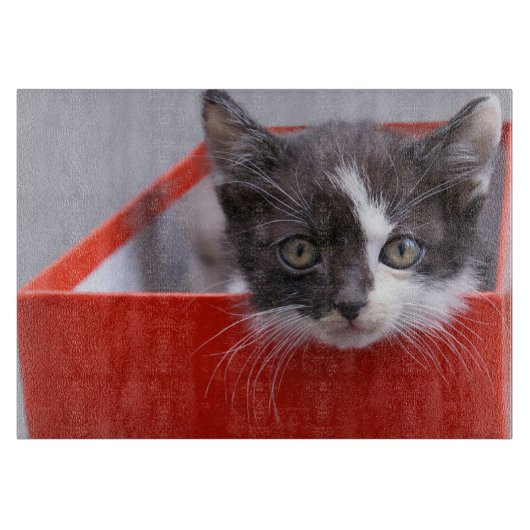 Kutest Baby Animals | Zwart-witten Snijplank (Voorkant)