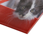 Kutest Baby Animals | Zwart-witten Snijplank (Hoek)