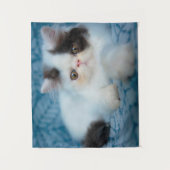 Kutest Baby Animals | Zwart-witten Wandkleed (Voorkant)