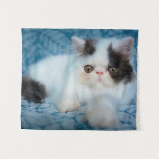 Kutest Baby Animals | Zwart-witten Wandkleed (Voorkant (horizontaal))