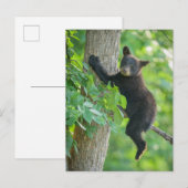 Kutest Baby Animals | Zwarte Beer Cub Briefkaart (Voorkant / Achterkant)