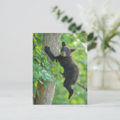 Kutest Baby Animals | Zwarte Beer Cub Briefkaart (Staand voorkant)