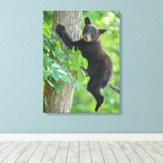 Kutest Baby Animals | Zwarte Beer Cub Canvas Afdruk (Insitu (Houten vloer))