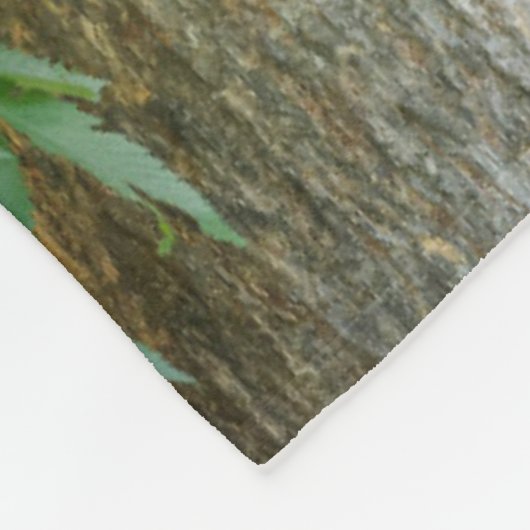 Kutest Baby Animals | Zwarte Beer Cub Fleece Deken (Hoek)