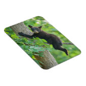 Kutest Baby Animals | Zwarte Beer Cub Magneet (Rechterzijde)
