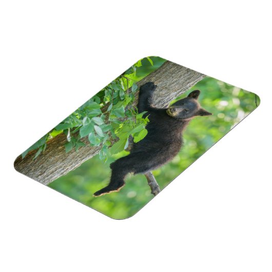 Kutest Baby Animals | Zwarte Beer Cub Magneet (Linkerzijde)