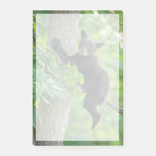 Kutest Baby Animals | Zwarte Beer Cub Post-it® Notes (Voorkant)