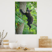 Kutest Baby Animals | Zwarte Beer Cub Poster (Keuken)