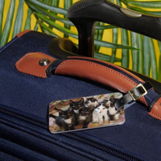 Kutest Baby Animals | Zwarte en witte Kittens Bagagelabel (Voorkant Insitu 3)