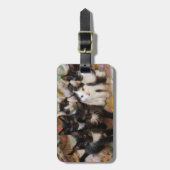 Kutest Baby Animals | Zwarte en witte Kittens Bagagelabel (Voorkant verticaal)