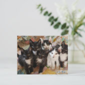 Kutest Baby Animals | Zwarte en witte Kittens Briefkaart (Staand voorkant)
