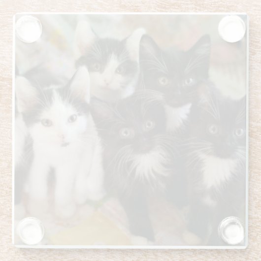 Kutest Baby Animals | Zwarte en witte Kittens Glazen Onderzetter (Achterkant)