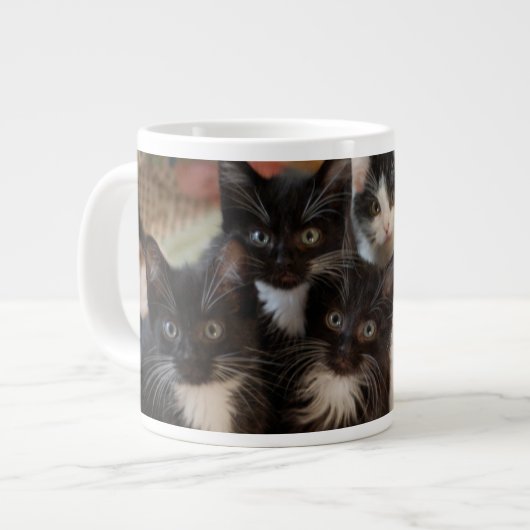 Kutest Baby Animals | Zwarte en witte Kittens Grote Koffiekop (Links)