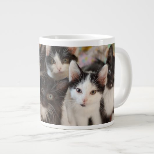 Kutest Baby Animals | Zwarte en witte Kittens Grote Koffiekop (Voorkant rechts)