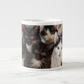 Kutest Baby Animals | Zwarte en witte Kittens Grote Koffiekop (Voorkant)