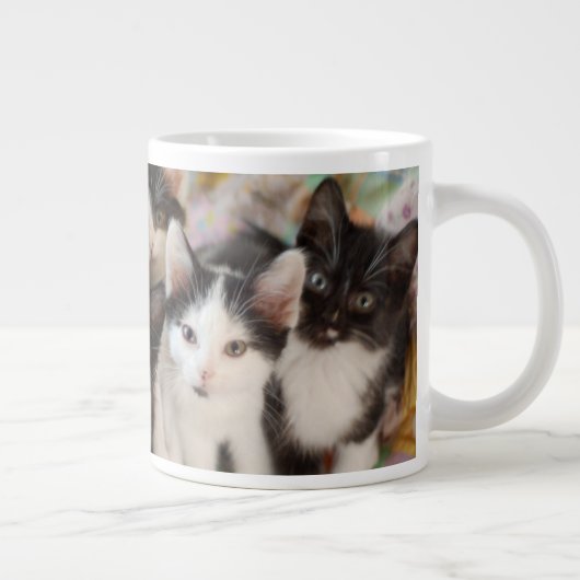 Kutest Baby Animals | Zwarte en witte Kittens Grote Koffiekop (Rechts)