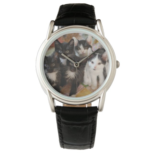 Kutest Baby Animals | Zwarte en witte Kittens Horloge (Voorkant)