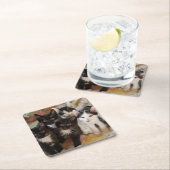 Kutest Baby Animals | Zwarte en witte Kittens Kartonnen Onderzetters (Insitu)