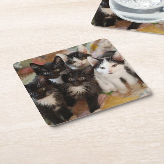 Kutest Baby Animals | Zwarte en witte Kittens Kartonnen Onderzetters (Schuin)