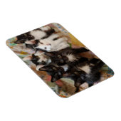 Kutest Baby Animals | Zwarte en witte Kittens Magneet (Rechterzijde)