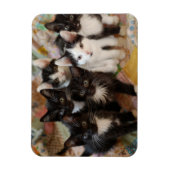 Kutest Baby Animals | Zwarte en witte Kittens Magneet (Verticaal)