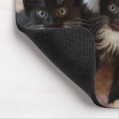 Kutest Baby Animals | Zwarte en witte Kittens Muismat (Hoek)