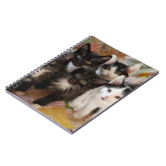 Kutest Baby Animals | Zwarte en witte Kittens Notitieboek (Linkerzijde)