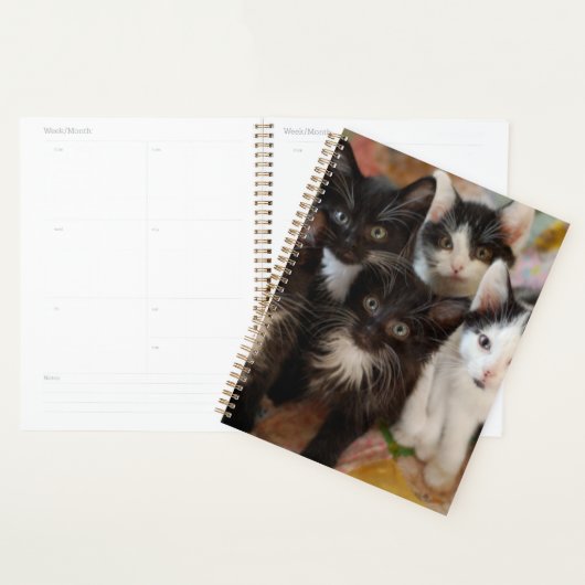 Kutest Baby Animals | Zwarte en witte Kittens Planner (Display)