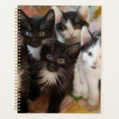 Kutest Baby Animals | Zwarte en witte Kittens Planner (Voorkant)